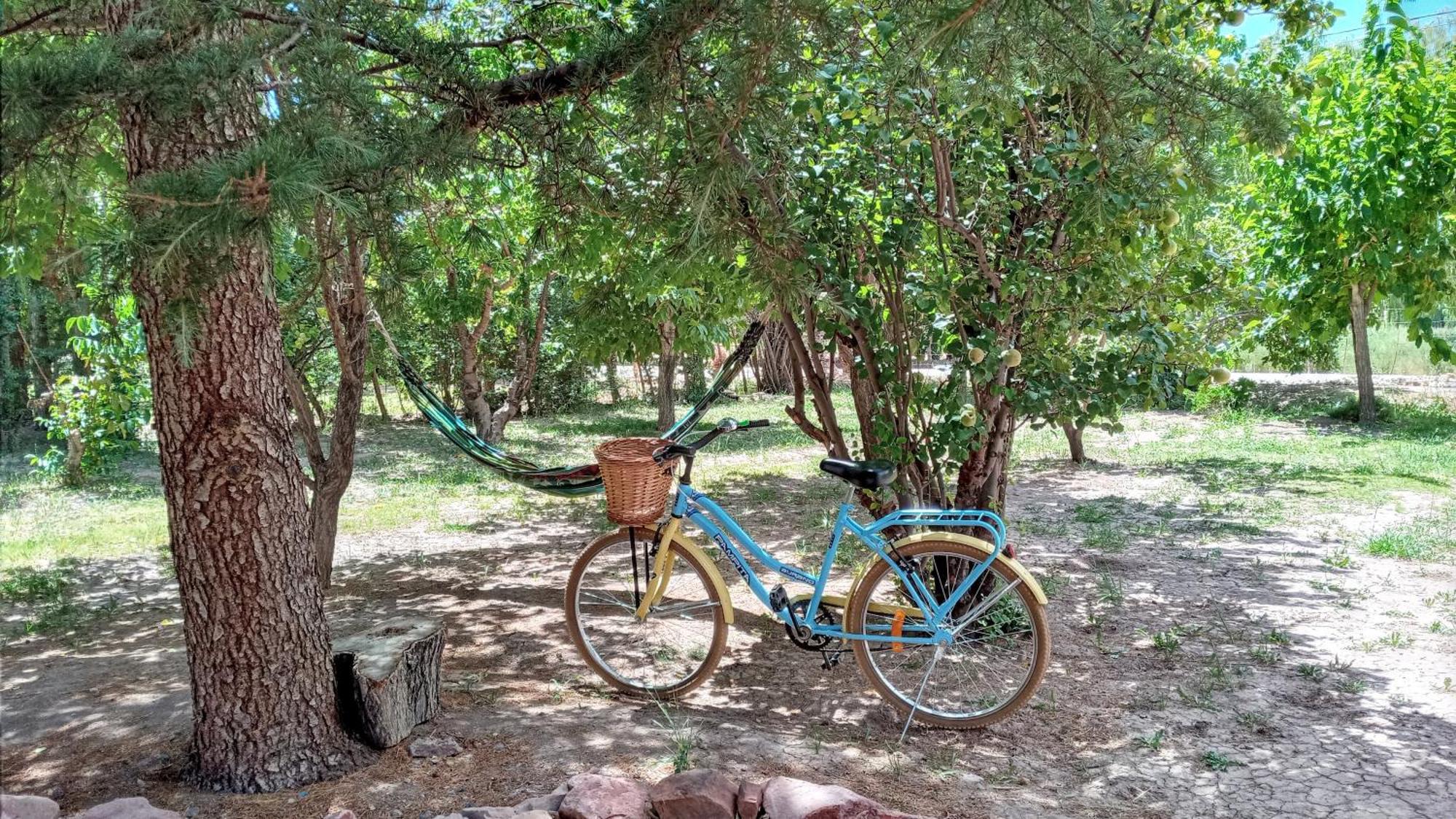 Aire De Barreal Hostel Andino ภายนอก รูปภาพ