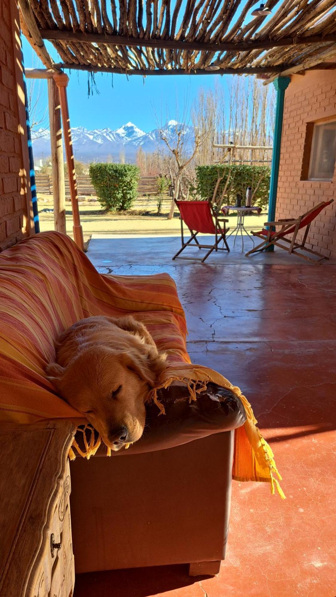 Aire De Barreal Hostel Andino ภายนอก รูปภาพ