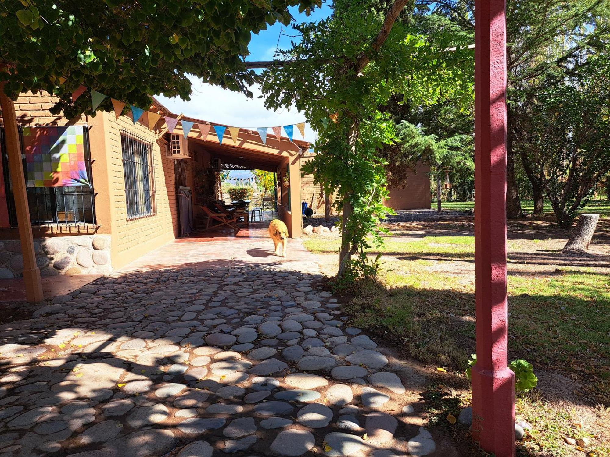 Aire De Barreal Hostel Andino ภายนอก รูปภาพ
